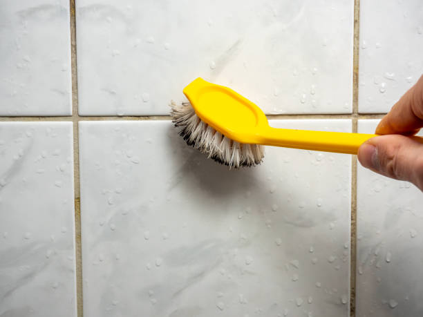 Home Mold Removal in Poydras, LA