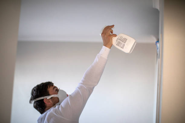 Best Local Mold Removal Service  in Poydras, LA