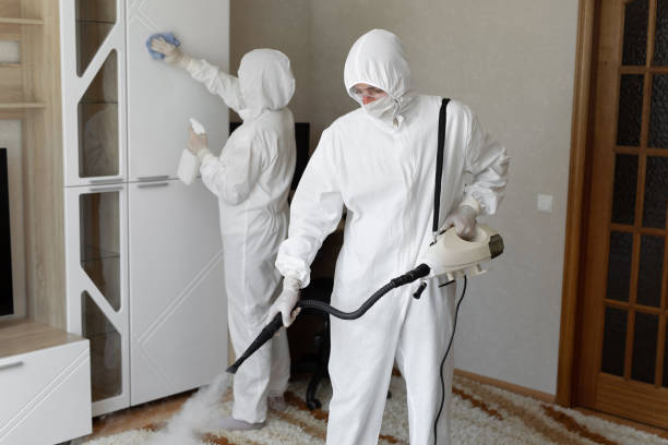 Best Local Mold Removal Service  in Poydras, LA