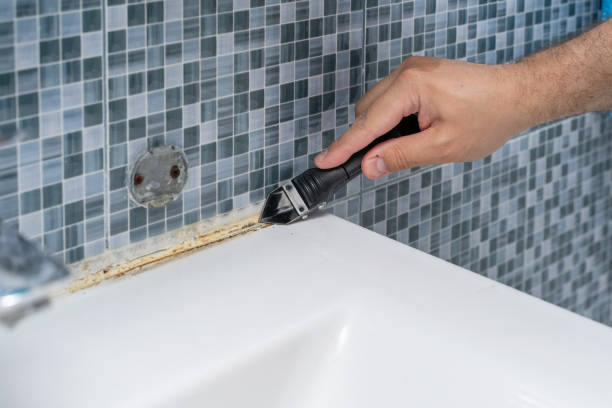 Best Black Mold Removal  in Poydras, LA