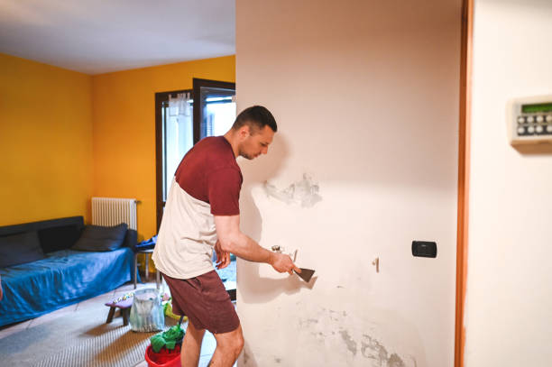 Best Best Mold Removal Companies  in Poydras, LA